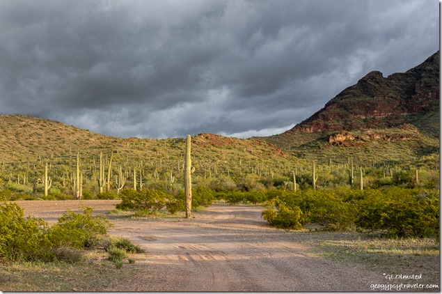 road desert mountains storm clouds BLM Darby Well Road Ajo Arizona