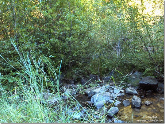 Cave Creek Siskiyou National Forest Oregon