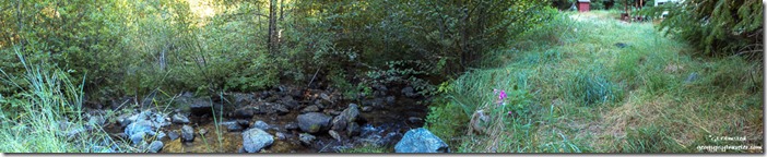 Cave Creek Siskiyou National Forest Oregon