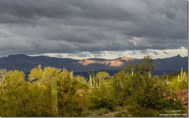 Sonoran Desert mountains light clouds BLM Darby Well Road Ajo Arizona