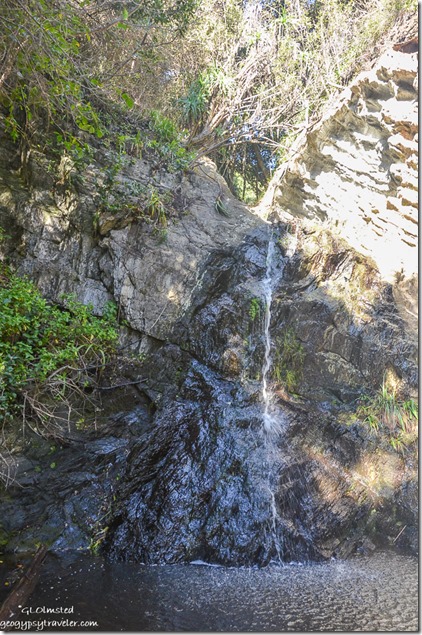 06 DSC_6039lerw Small waterfall along Suspension Bridge trail Tsitsikamma NP SA fff356-1