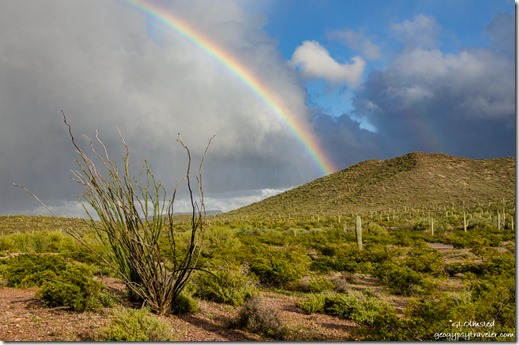 Sonoran Desert rainbow BLM Darby Well Road Ajo Arizona