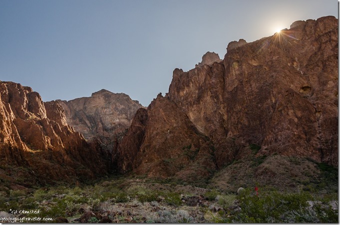 Palm canyon walls sunburst Kofa National Wildlife Refuge Arizona