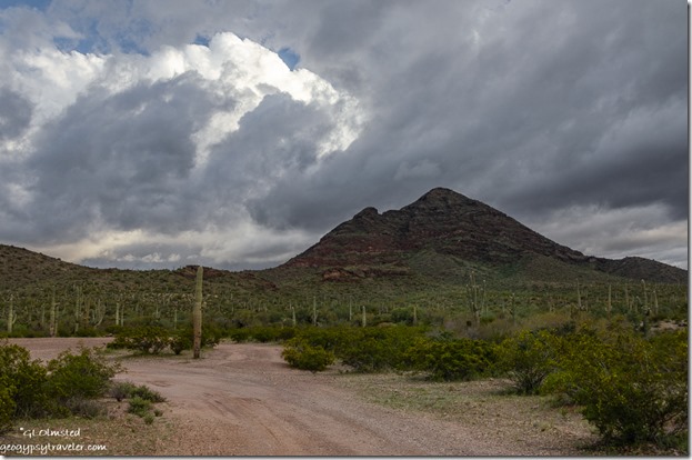 Sonoran Desert Black Mountain storm clouds BLM Darby Well Road Ajo Arizona