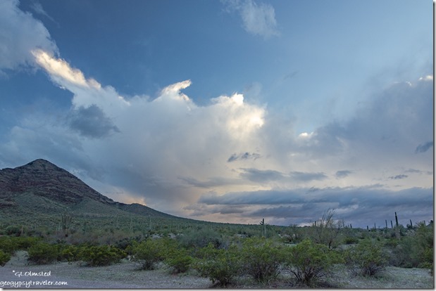 Sonoran Desert mountain storm cloud sunset BLM Darby Well Road Ajo Arizona