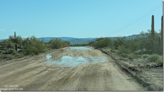 puddles Darby Well Road Ajo Arizona