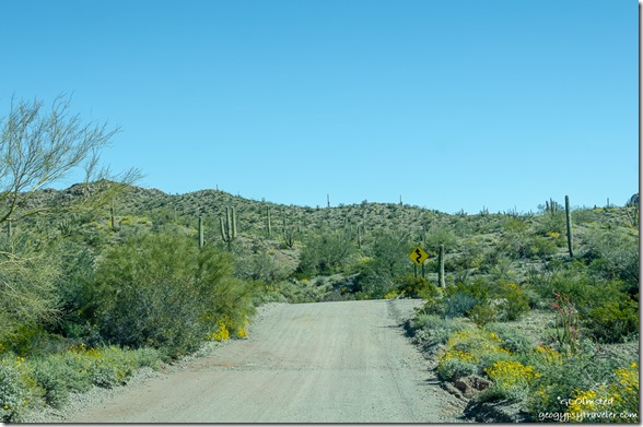 desert BLM Scenic Loop Road Ajo Arizona