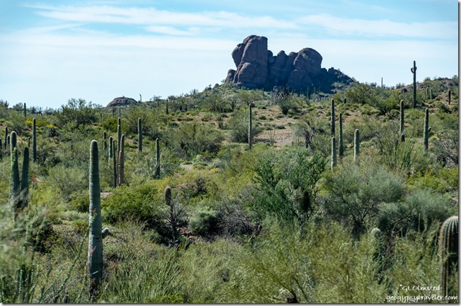 desert boulders BLM Scenic Loop Road Ajo Arizona