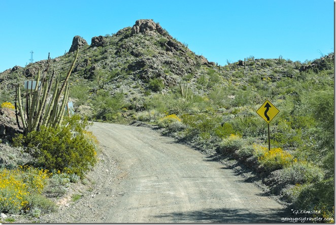 desert mountain BLM Scenic Loop Road Ajo Arizona