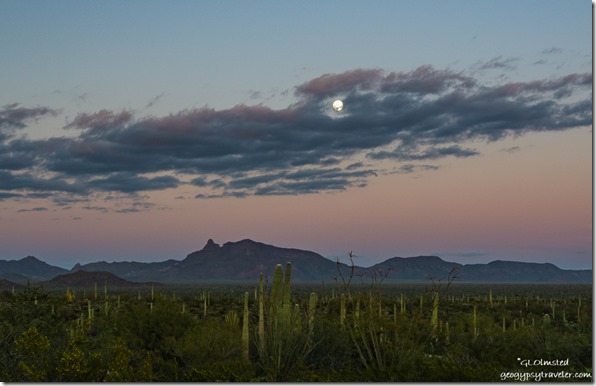 cactus mountains sunset clouds moon Organ Pipe Cactus National Monument Arizona