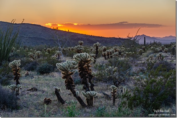 Sonoran desert sunset Palm Canyon Rd Kofa National Wildlife Refuge Arizona