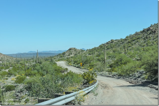 desert view BLM Scenic Loop Road Ajo Arizona