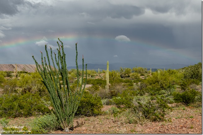 desert mountains storm clouds rainbow BLM Darby Well Road Ajo Arizona