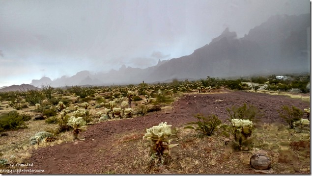 through window rain desert fog Kofa Mts Palm Canyon Rd Kofa National Wildlife Refuge Arizona