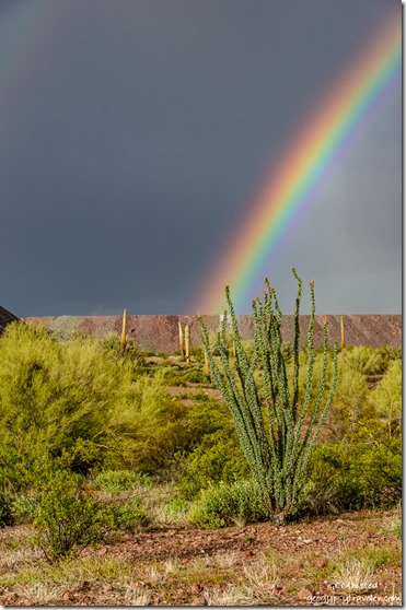 Sonoran Desert rainbow BLM Darby Well Road Ajo Arizona