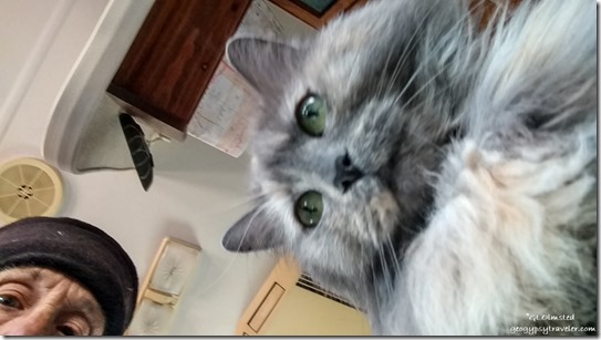 Gaelyn & Sierra cat selfie