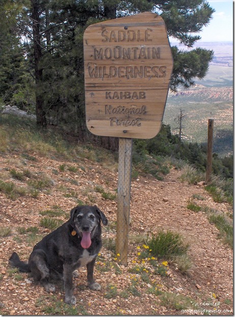 Carson at trailhead East Rim viewpoint Kaibab National Forest Arizona