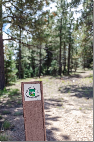 Arizona trail marker at East Rim Kaibab National Forest Arizona
