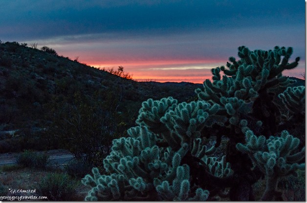 Cholla sunset BLM Vulture Mine Road Arizona
