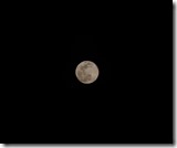 full moon rising BLM Ghost Town Rd Congress Arizona