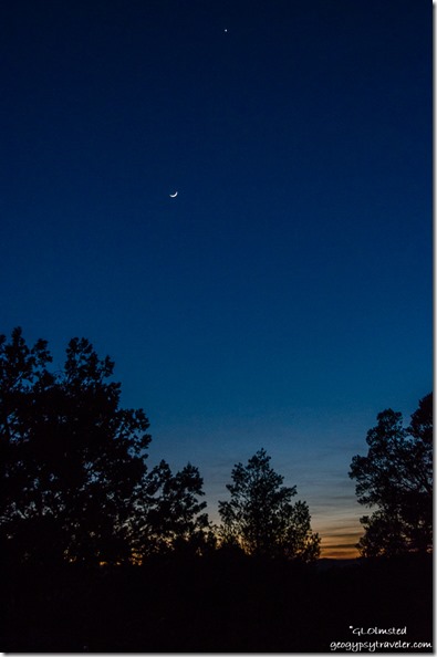 trees crescent moon Venus sunset Walnut Grove Arizona