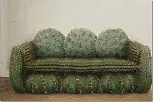 Cactus couch