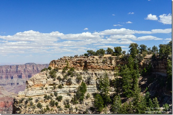 Sky Island & canyon view Walhalla Plateau North Rim Grand Canyon National Park Arizona