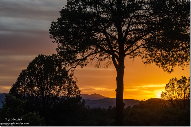 trees sunset clouds Walnut Grove Arizona