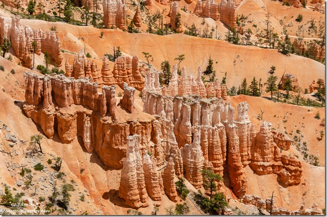 hoodoos from rim trail Bryce Canyon National Park Utah