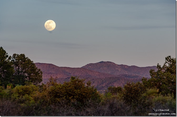 trees Bradshaw mountains full moon Walnut Grove Arizona