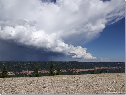 Storm over East Rim from Marble Canyon Kaibab National Forest Arizona