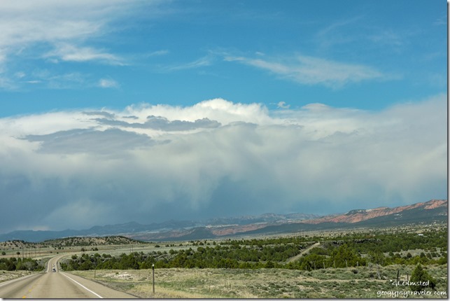 trees Pink Cliffs storm clouds SR89 North Utah