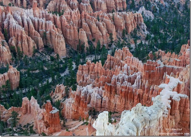 Hoodoos from Bryce Point Bryce Canyon National Park Utah