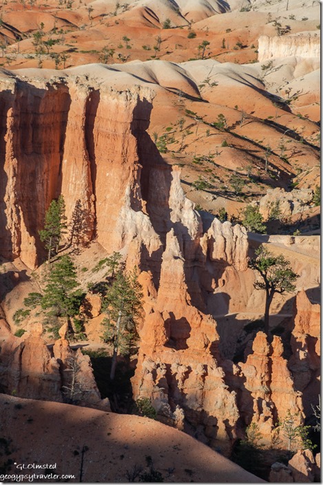 trees hoodoos light & shadow Bryce Canyon National Park Utah