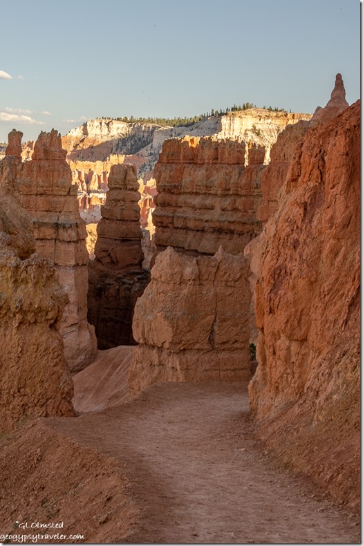 hoodoos Pink Cliffs Navajo Loop trail Bryce Canyon National Park Utah