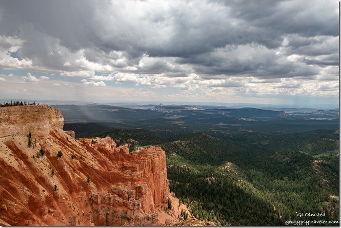 Pink Cliffs valley trees rain storm clouds Yovimpa Point Bryce Canyon National Park Utah