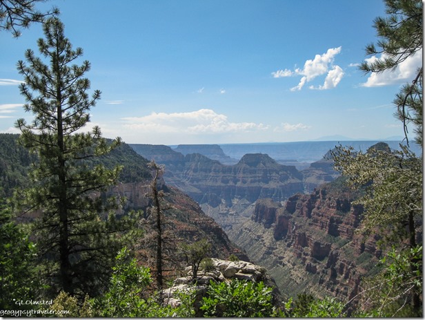 Trancept Canyon from Widforss Trail North Rim Grand Canyon National Park Arizona