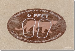 mountain lion 6 feet distancing stickers Bryce Canyon National Park Utah