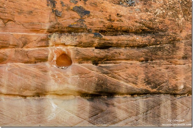Carved sandstone Upper Buckskin Gulch Paria Canyon-Vermilion Cliffs Wilderness Utah