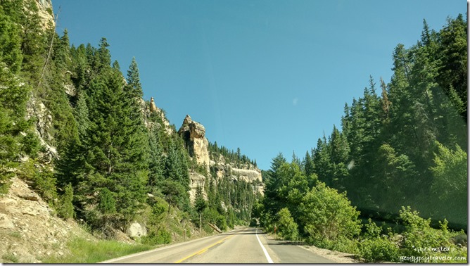trees cliffs SR14 East Utah