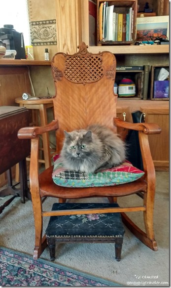 Sierra cat on rocking chair in RV Bryce Canyon National Park Utah