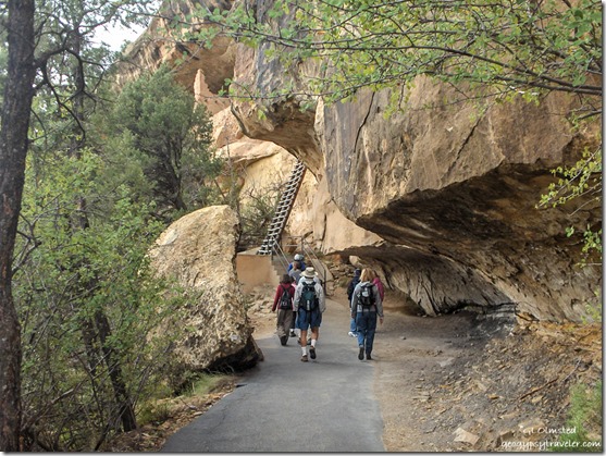 lower Trail to Balcony House Mesa Verde National Park Colorado