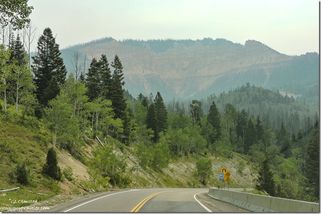 curve trees Pink Cliffs haze SR14 Dixie National Forest Utah
