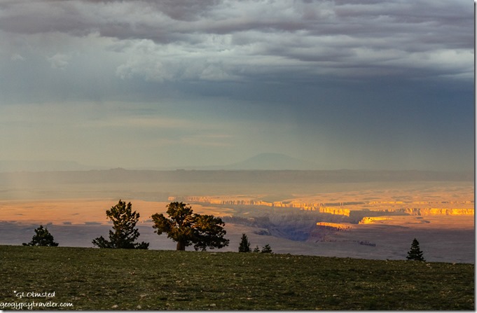 meadow trees valley Marble Canyon last light Echo Cliffs Navajo Mountain storm clouds Marble View Kaibab National Forest Arizona