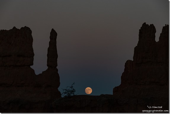 hoodoos moon Navajo Trail Bryce Canyon National Park Utah