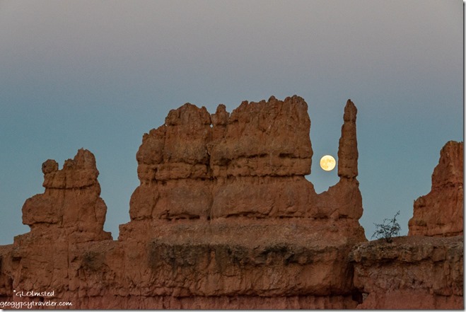 hoodoos moon Navajo Trail Bryce Canyon National Park Utah