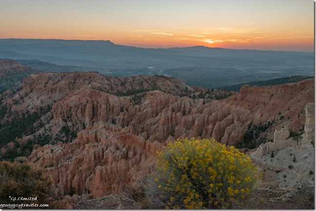 yellow Rabbit brush flowers hoodoos valley Table Cliffs sunrise clouds Bryce Point Bryce Canyon National Park Utah