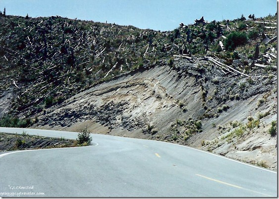 Blast zone & road cut along FS99 Mount St Helens National Volcanic Monument summer 1992