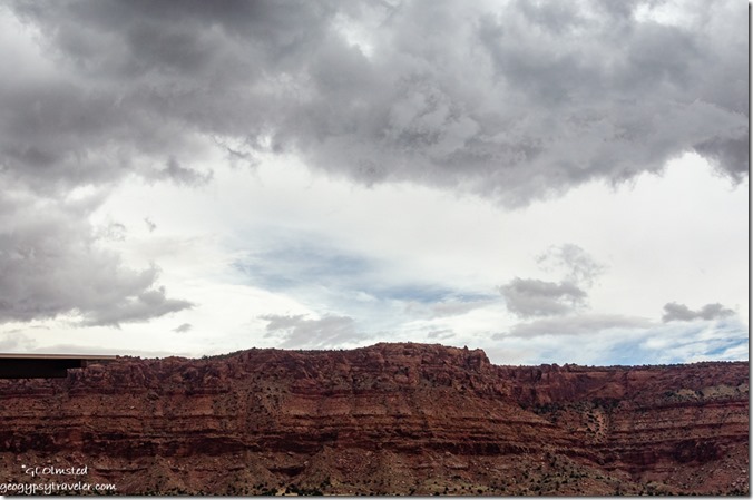 Condor release House Rock Valley Road Vermilion Cliffs National Monument Arizona