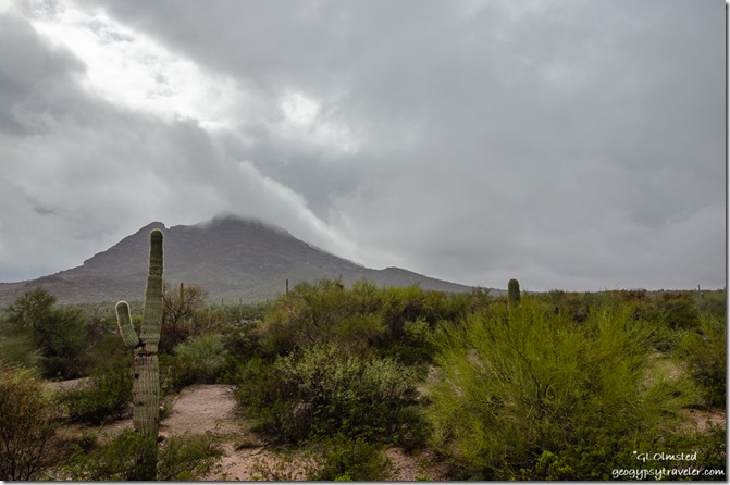 Sonoran desert mountain gray sky Darby Well Road BLM Ajo Arizona
